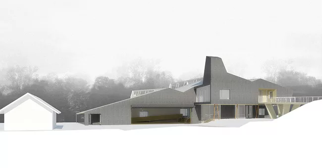 Mass Timber Construction