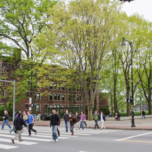 MIT