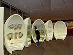 Taylor and Miller Architecture and Design