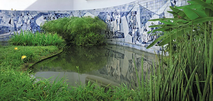 Roberto Burle Marx: Brazilian Modernist