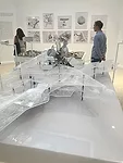 Venice Architecture Biennale