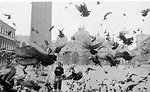 Denise Scott Brown Wayward Eye Venice Architecture Biennale