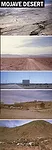 Denise Scott Brown Wayward Eye Venice Architecture Biennale