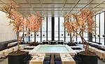 Four Seasons Auction
