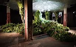 New York's Lowline Wins Preliminary City Approval