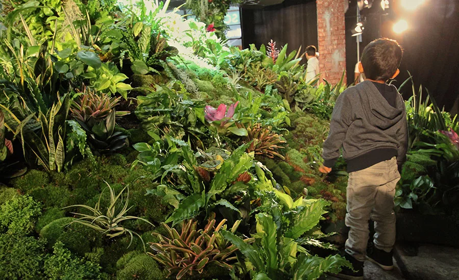 New York's Lowline Wins Preliminary City Approval