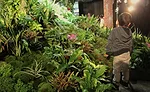 New York's Lowline Wins Preliminary City Approval