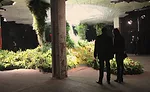 New York's Lowline Wins Preliminary City Approval