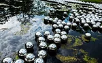Kusama Glass House