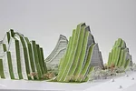 Bjarke Ingels on the Road Ahead