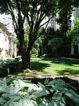 Frick Collection Expansion