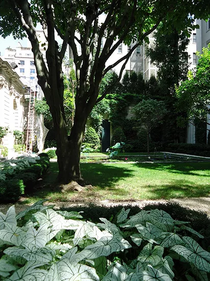Frick Collection Expansion