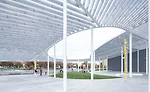 UC Davis Shrem Museum