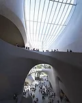 American Museum of Natural History