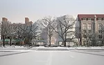 American Museum of Natural History