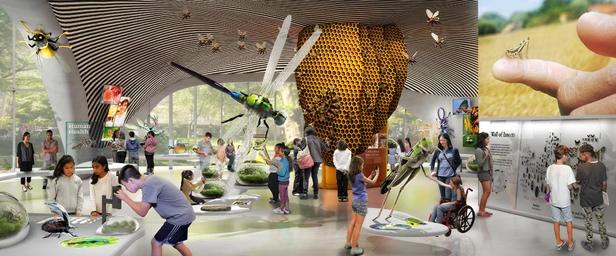 American Museum of Natural History