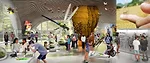 American Museum of Natural History
