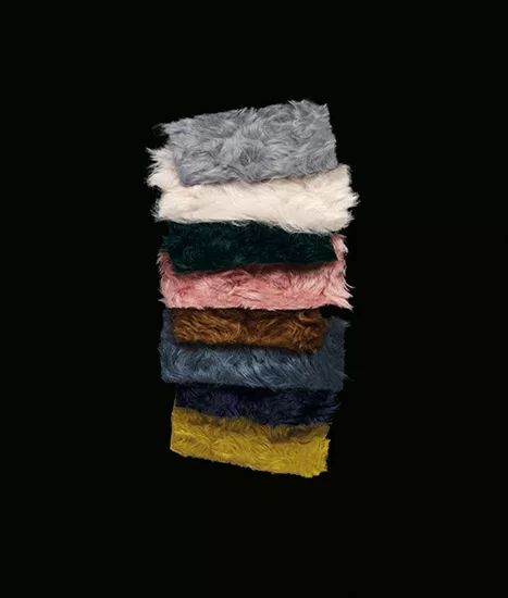 Raf Simons