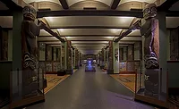 American Museum of Natural History