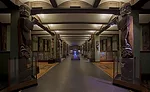 American Museum of Natural History