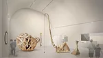 Studio Museum