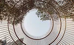 Ai Weiwei