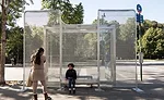 Ai Weiwei