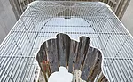 Ai Weiwei