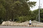 Ai Weiwei