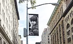 Ai Weiwei