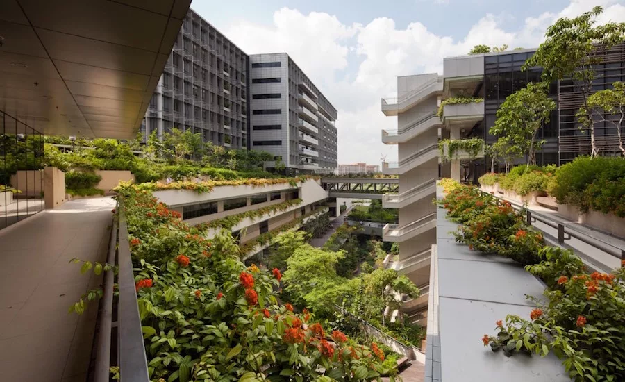 Biophilic Design Award