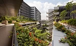 Biophilic Design Award