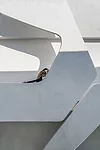 CamerasandDancers