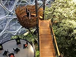 Amazon Spheres Opens in Seattle