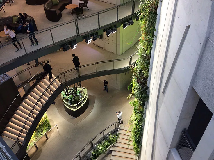 Amazon Spheres Opens in Seattle