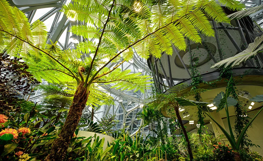 Amazon Spheres Opens in Seattle