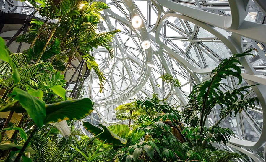 Amazon Spheres Opens in Seattle