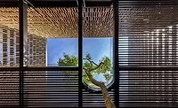 House 24