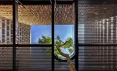 House 24