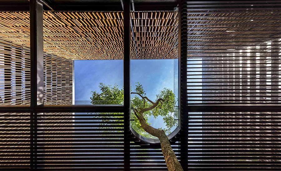 House 24
