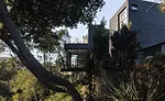 Redwood House