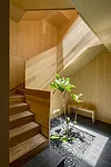 Cuernavaca House