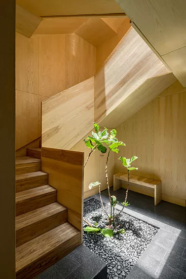 Cuernavaca House