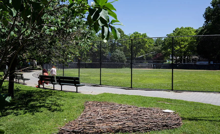 Marcus Garvey Park