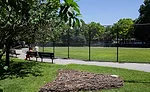 Marcus Garvey Park