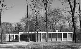 New Views into an Unheralded Element of Mies