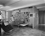 New Views into an Unheralded Element of Mies