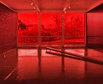 New Views into an Unheralded Element of Mies