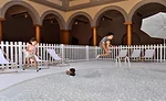 Snarkitecture Returns to National Building Museum