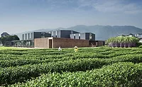 Rethinking the Countryside